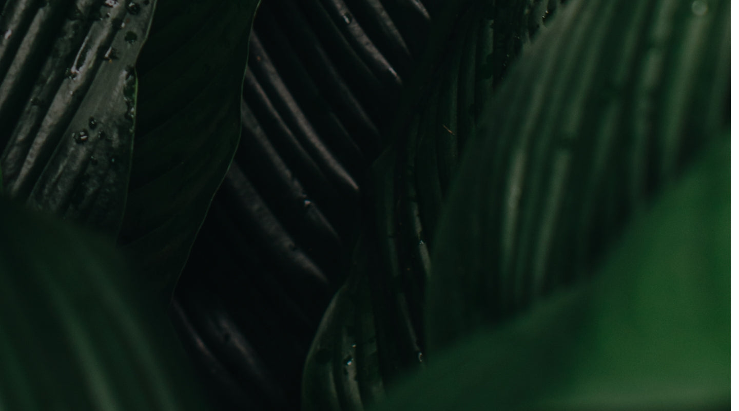 Desktop Image - Background Image Tracking Giants
